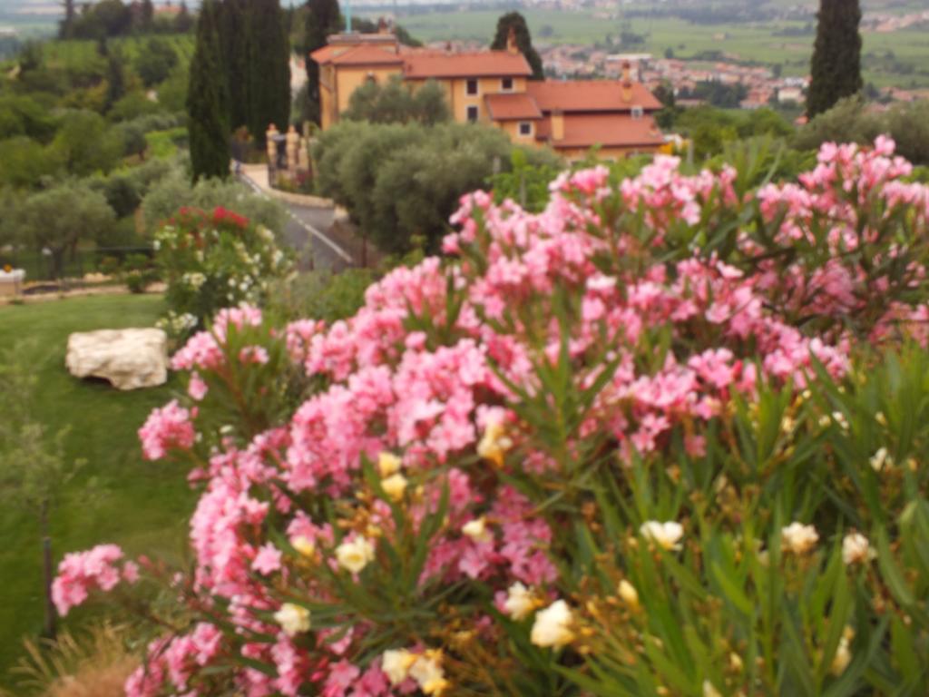 Villa Oleandri San Pietro in Cariano Zimmer foto
